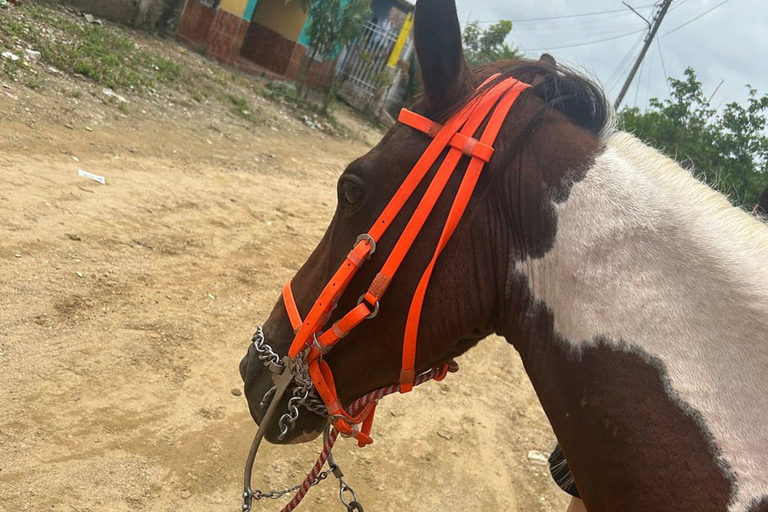 Palenque: Eco-Tour privato a cavallo con pranzo