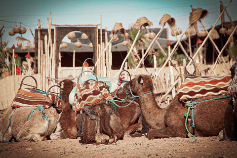 Marrakech: Agafay Desert Quad, Camel Ride & Dinner Fire Show