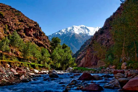 Marrakesch: Ourika-Tal Atlasgebirge & Wasserfälle Trip