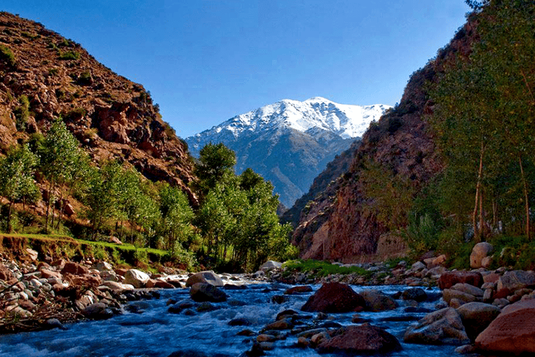 Day trip to ourika Atlas mountain &amp; three valley&amp; waterfalls