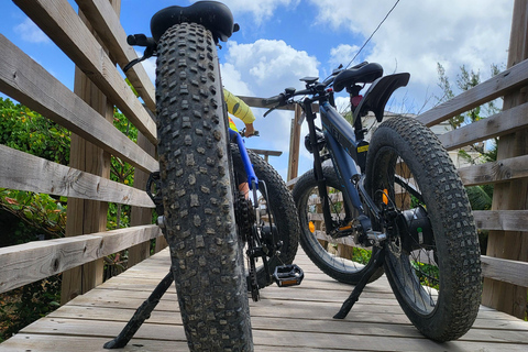 LA EXPERIENCIA DEFINITIVA DE PEDALEAR POR LA COSTA ESTE