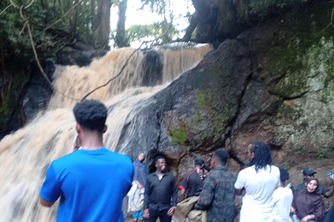 Nairobi: Karura Forest Bike Rental and Waterfall Walk