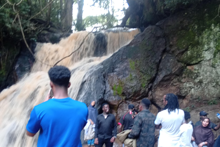 Nairobi: Karura Forest Bike Rental and Waterfall Walk