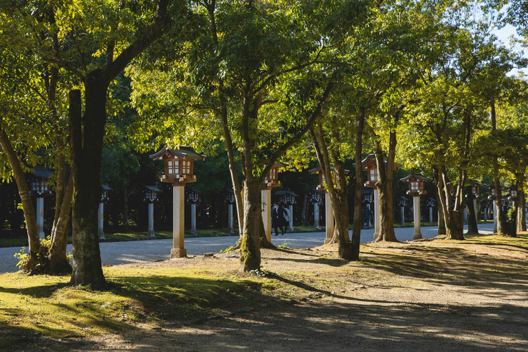 [Deer & Samurai History] Nara Guided Walking Tour+Photoshoot 3 Hours Walking Tour + Photo Service (small-group max. 6)