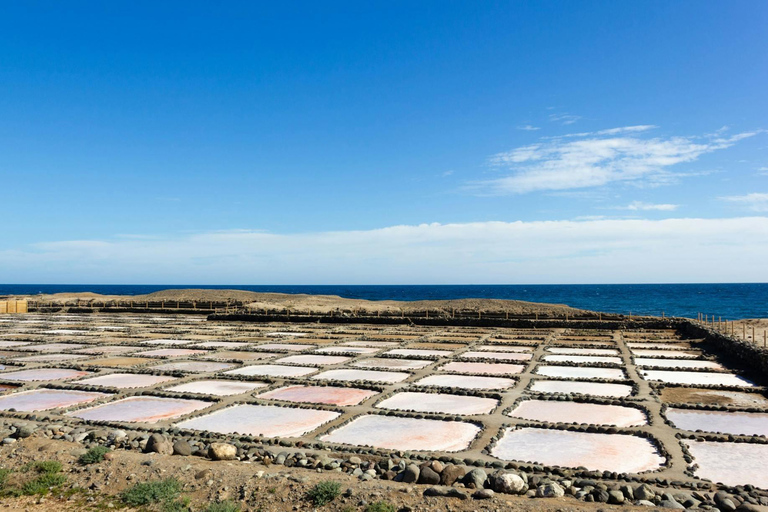 Grande Canarie : visite culinaire, distillerie et déjeunerGrande Canarie : visite culinaire avec visite de la distillerie et déjeuner
