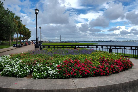 Charleston: Native led tour of historic district