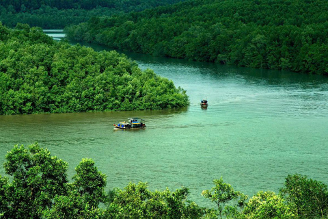 From Ho Chi Minh: Can Gio Mangrove Forest & Monkey Island Group Tour