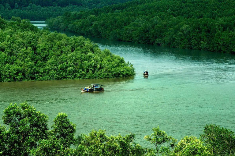 From Ho Chi Minh: Can Gio Mangrove Forest & Monkey Island Group Tour
