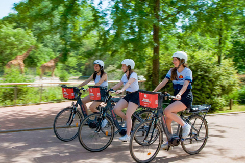 Lyon: Hyr en elcykel för en halv dag