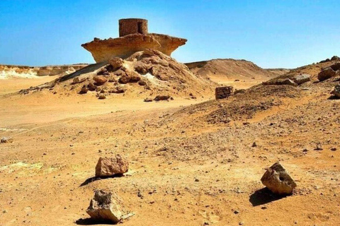 Doha: Guided West of Qatar Desert Tour with Camel Racetrack Doha: Group Guided West of Qatar Desert Tour