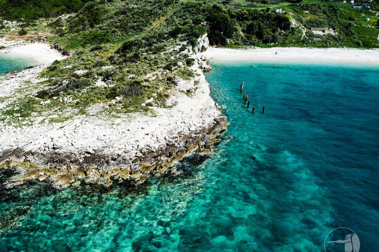 Von Tirana/Durres/Golem: Erkunde die Insel Sazan und KaraburunSazan Insel von Durres &amp; Golem