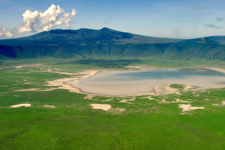 Arusha: Ngorongoro-Krater und Kilimandscharo-Tour