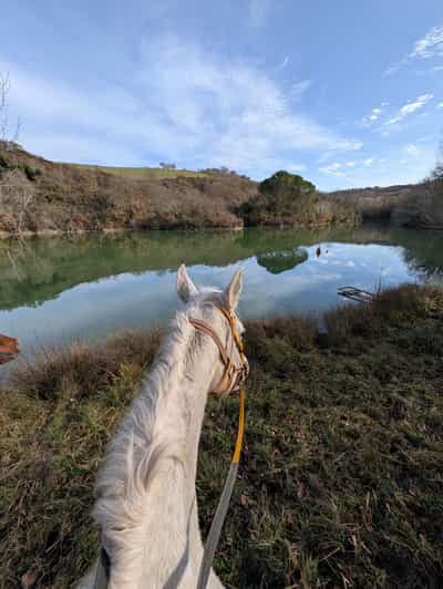 Pienza: Horseback Riding in Val d’Orcia Hills