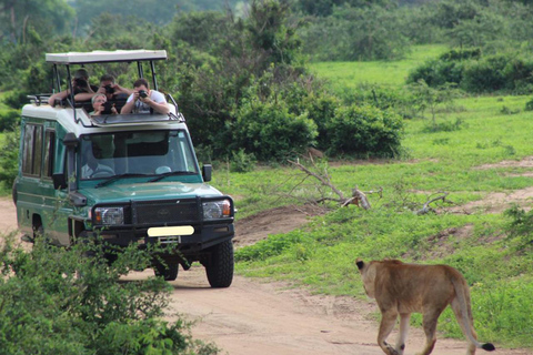 Uganda: 3-dniowe safari w Parku Narodowym Królowej Elżbiety