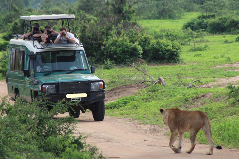 Uganda: 3-dniowe safari w Parku Narodowym Królowej Elżbiety