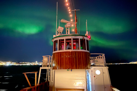 Tromsø: Cruzeiro noturno à luz do Ártico com sopa de peixe