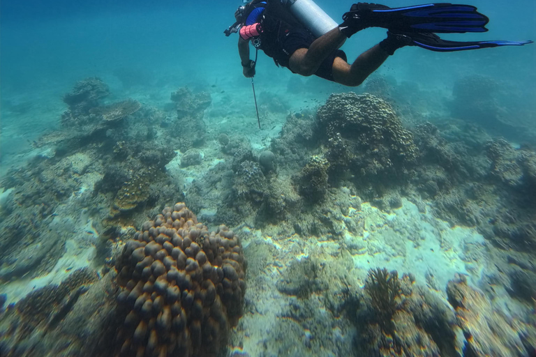 Scuba Diving in Muscat