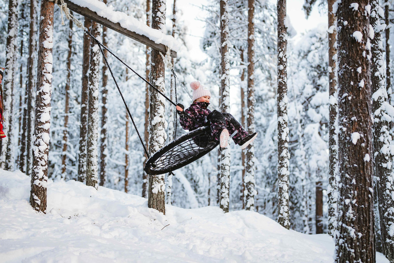 Levi：Arcandia，精灵法庭/日光和公园/黑暗精灵法庭：3 小时体验和公园之旅