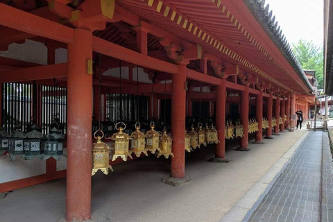 奈良公园：隐秘小径与鹿群导览之旅（含接送服务）