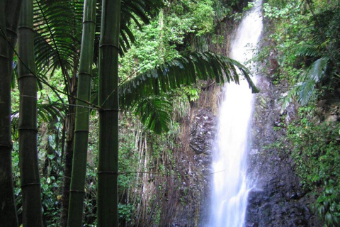 Kingstown: Dark View Falls Tour with Pickup