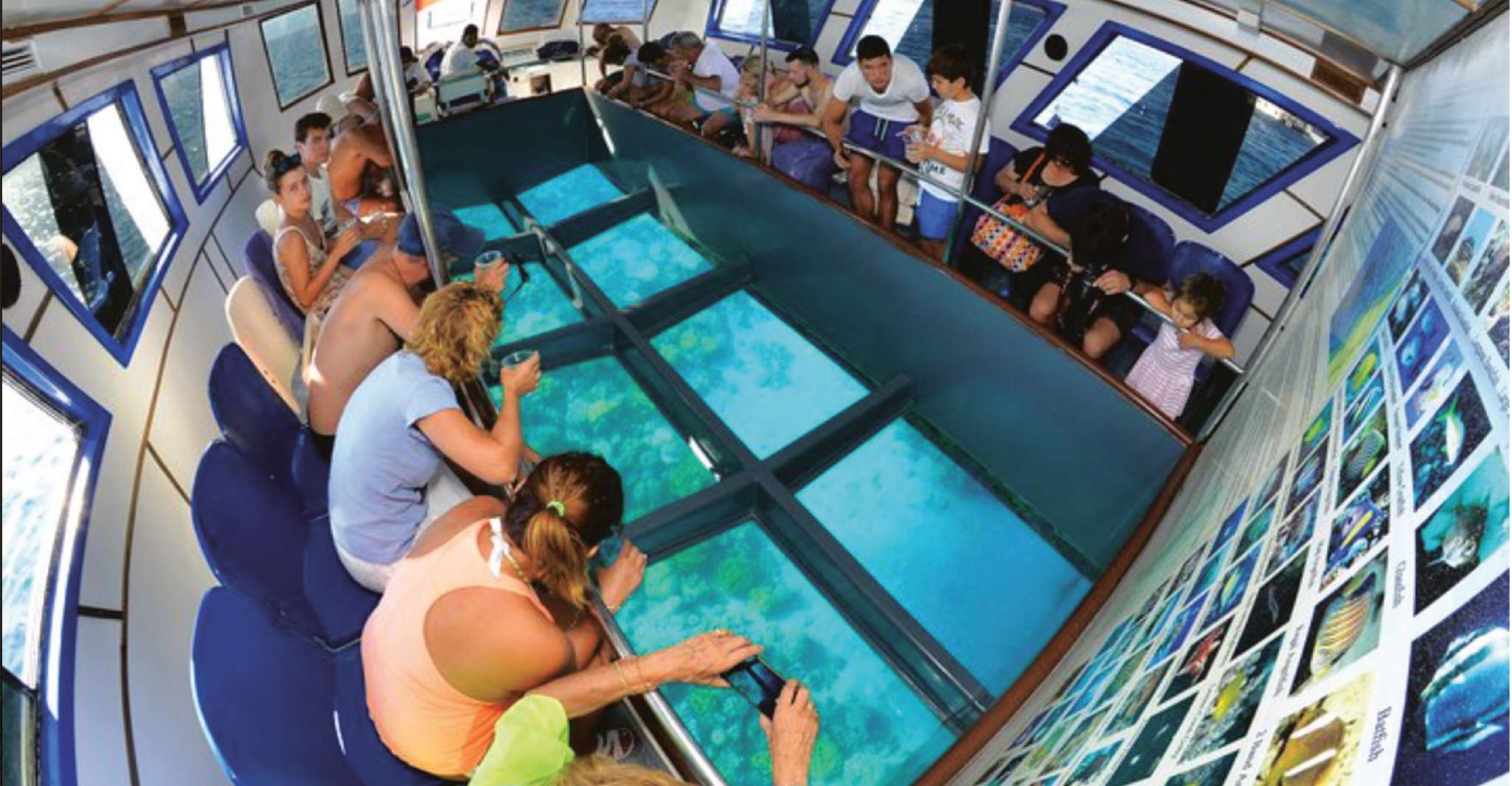 Barco de vidrio y snorkeling con el uso diario de Berenice Beach Club - Hizvo