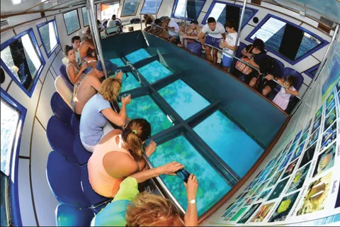 Glasbåt & snorkling med dagskort till Berenice Beach Club
