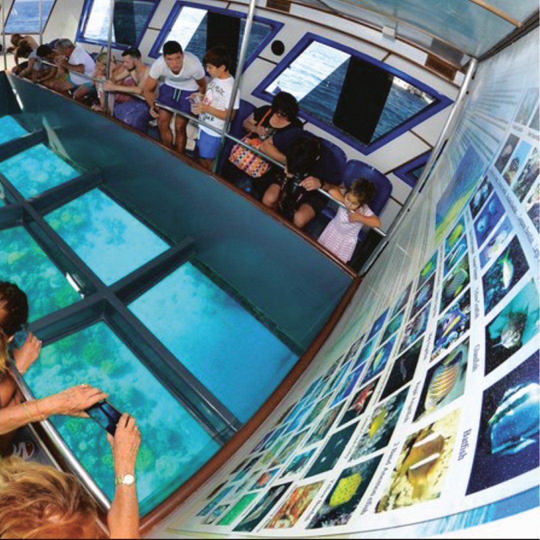 Glass Boat Snorkeling with day use of Berenice Beach Club