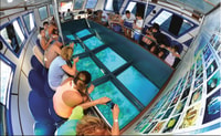 Boat en verre & Snorkeling avec l'utilisation quotidienne de Berenice Beach Club - Hizvo