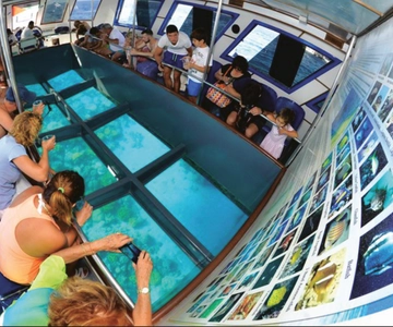 Glasbåt & snorkling med dagskort till Berenice Beach Club