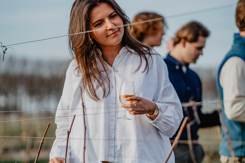 Boat trip & wine tour in Bruges