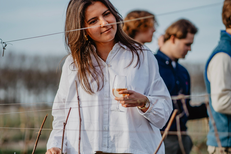 Boat trip & wine tour in Bruges