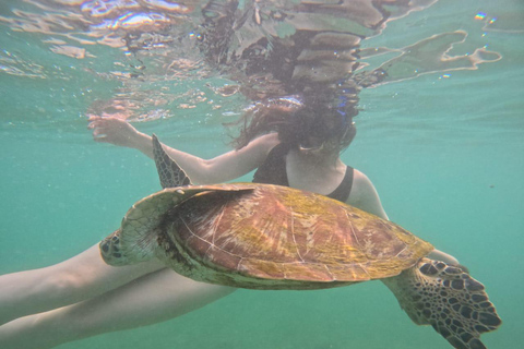 Mirissa Turtle Snorkeling Free Underwater Photos & pickup