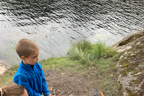 Oslo: Guided Kayak Tour on Lake Langen with Lunch