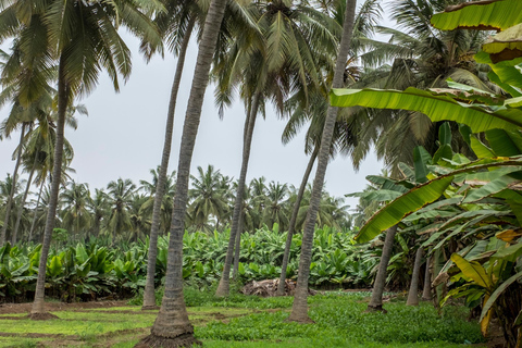 Stadsrondleiding Salalah: hele dag4WD - 4 personen