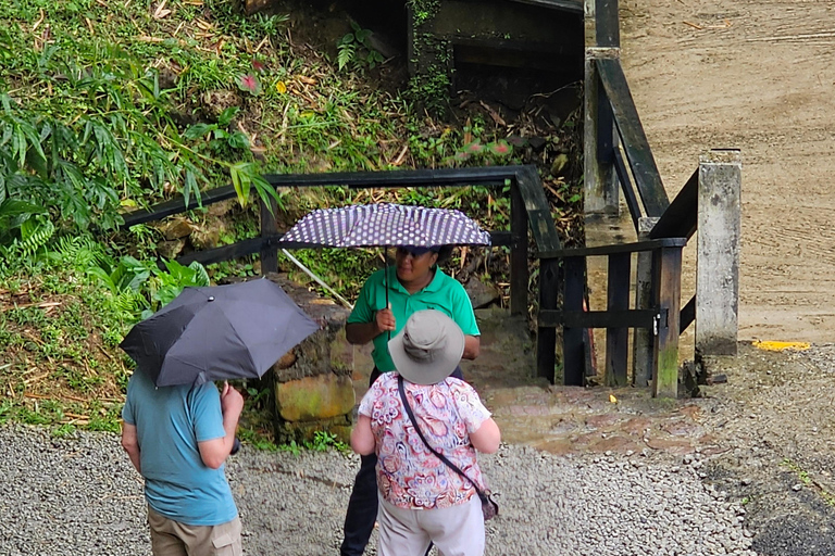 Customized St Lucian Private Island Tour