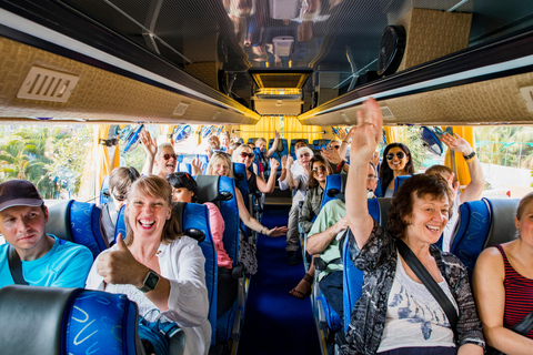 Chicago: Tour della città in minibus di lusso e tour dell&#039;architettura in barca fluviale