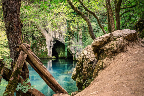 De Belgrado: Excursão pelas joias do leste da Sérviaexcursão em grupo