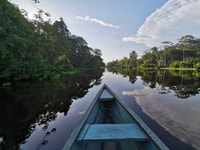 Javari Expedition - Housity