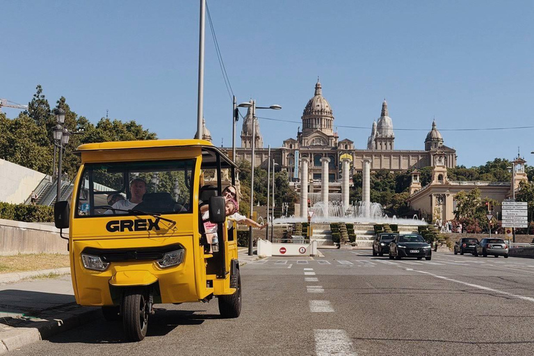 Barcelona: Electric Tuk-Tuk Tour with Local Guide