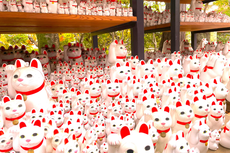 Tokyo: Gotokuji Cat Temple, Shinjuku Cat Cafe & 3D Cat Tour