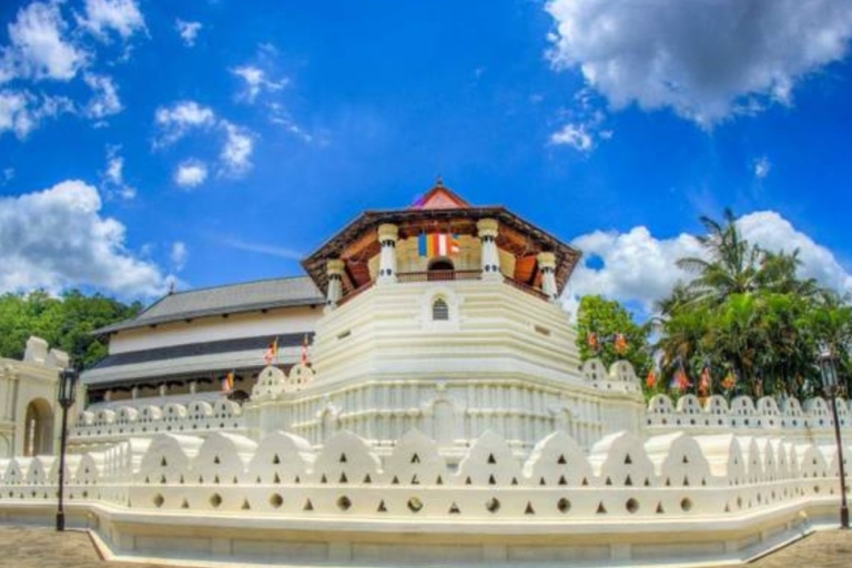 Sri Lankas kulturelles Herz in 5 Tagen erforschen