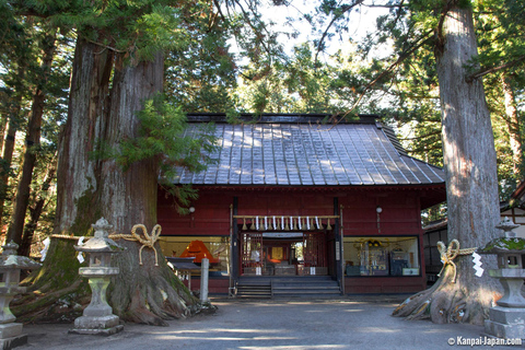 Depuis Tokyo : Excursion privée d&#039;une journée au Mont Fuji et à Hakone