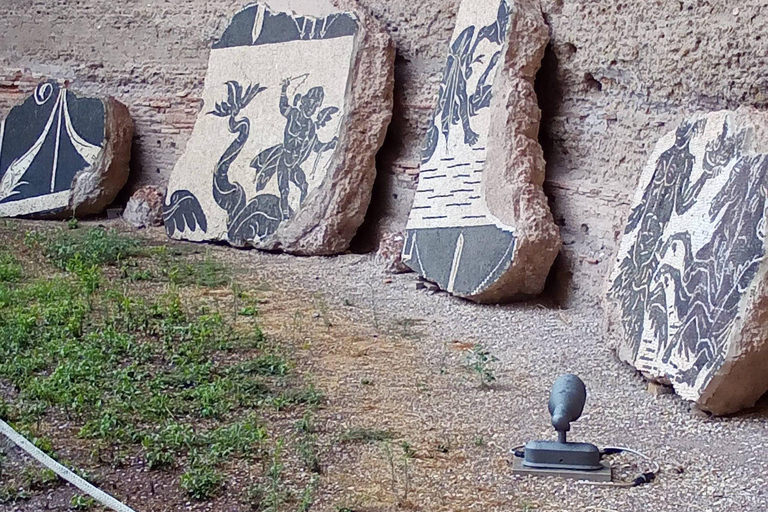 Ancient Rome: Baths of Caracalla Reserved Experience