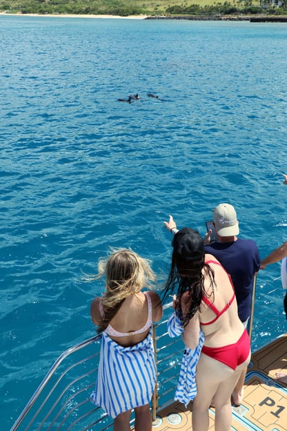 Oahu: Snorkeling &amp; Dolphin Watch Cruise with Hawaiian Buffet