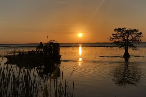 Kissimmee: biglietto per il tour in idroscivolante al tramonto di Boggy Creek Everglades