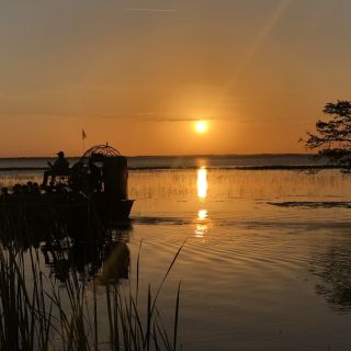 Kissimmee: Ticket voor Boggy Creek Everglades Sunset Airboat Tour