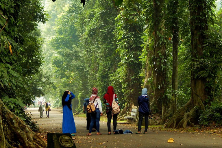 From Jakarta: Safari Park, Botanical w/ Lunch & Transfer