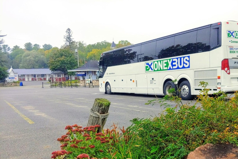 Aeroporto Pearson de Toronto: Ônibus direto de/para BramptonÔnibus simples de Brampton para o Aeroporto Pearson de Toronto