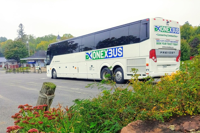 Aeroporto Pearson de Toronto: Ônibus direto de/para BramptonÔnibus simples de Brampton para o Aeroporto Pearson de Toronto