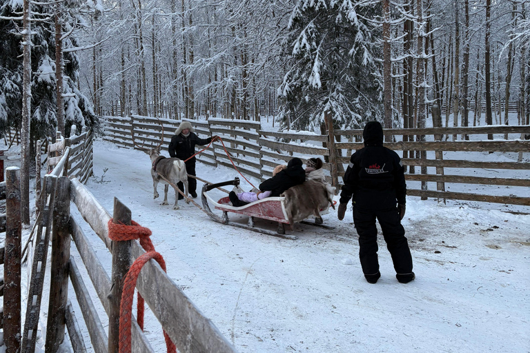 Rovaniemi: Reindeer Farm Visit with Sleigh Ride & Pickup